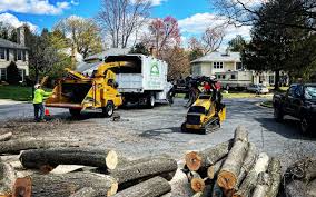 Best Utility Line Clearance  in Rocky Point, NY